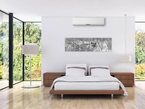 Obraz - Lis, czarno - biały (170x50 cm)
