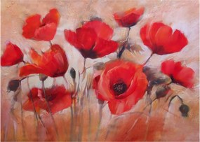Obraz na szkle - Wilcze maki (70x50 cm)