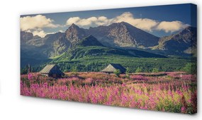 Obraz drukowany na płótnie Góry, Pola i Domki