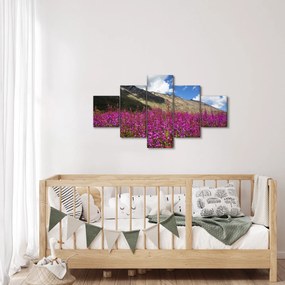 Obraz scenerii łąki górskiej (125x70 cm)