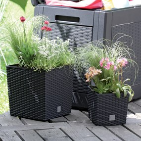 Donica ogrodowa z wkładem Rato Low 26,2 x 26,2 x 26,6 cm antracyt PROSPERPLAST