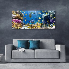 Duży obraz na płótnie Kolorowa Rafa Koralowa