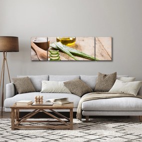 Obraz - Aloes (170x50 cm)
