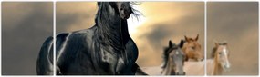 Obraz - Konie (170x50 cm)