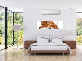 Obraz jaszczurki (170x50 cm)