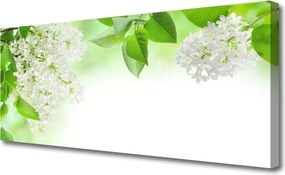 Obraz na płótnie Pastelowe Płatki Kwiatowe