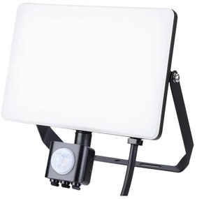 LED reflektor zewnętrzny z czujnikiem LED/50W/230V 5000K IP44