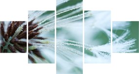 Obraz - Detal kwiatu (125x70 cm)