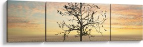 Obraz - Drzewo na pustyni (170x50 cm)