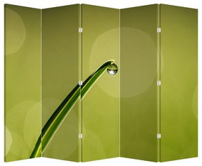 Parawan - Kropla wody na trawie (210x170 cm)