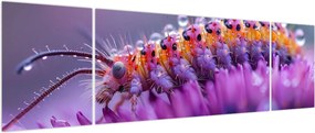Obraz - Caterpillar (170x50 cm)