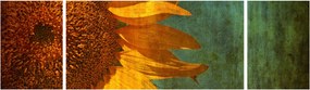 Obraz - Słonecznik (170x50 cm)