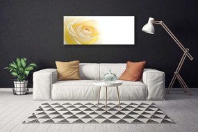 Obraz drukowany na płótnie Szlachetna Róża w Pełni