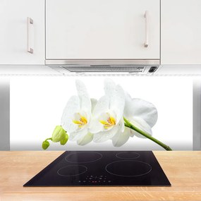 Szkło Ozdobne do Kuchni Niewinność Białego Storczyka