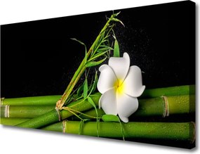 Obraz na płótnie Orientalny Kwiat Bambusa