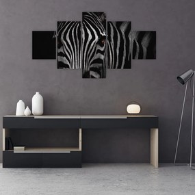 Obraz zebry (125x70 cm)