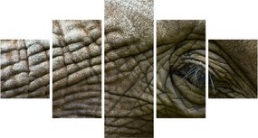 Obraz - Zbliżenie na stare oko słonia (125x70 cm)