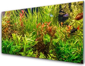 Szkło nad Blatem Podwodny Świat Akwarium