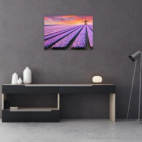 Obraz - farma kwiatów (70x50 cm)