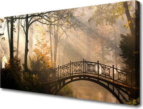 Obraz canvas Drewniany Mostek w Lesie