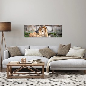 Obraz lwa (z zegarem) (90x30 cm)