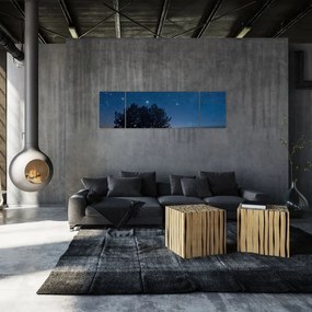 Obraz drzew w nocy (170x50 cm)