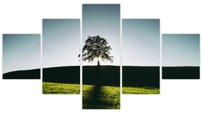 Obraz natury - drzewo (125x70 cm)