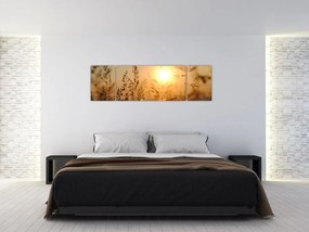 Obraz wschodu słońca (170x50 cm)