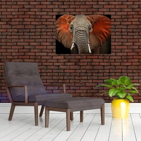 Obraz na szkle - Słonie z Tsavo (70x50 cm)