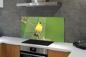 Panel Kuchenny Szklany Słoneczna Żółta Papuga