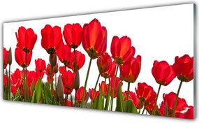 Panel nad blat kuchenny Pastelowy Ogród Na Szkle