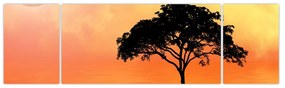 Obraz drzewa o zachodzie słońca (170x50 cm)