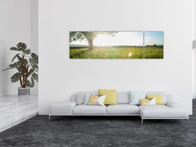 Obraz drzewa na polu (170x50 cm)