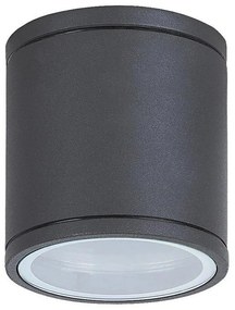 Rabalux 8150 - Plafon zewnętrzny AKRON 1xGU10/35W/230V IP54