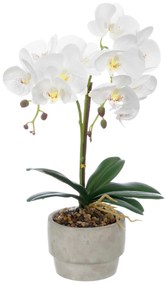 Sztuczny storczyk w doniczce z cementu ORCHI, 49 cm
