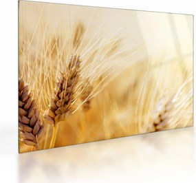 Obraz na szkle - szczegóły ziarna (70x50 cm)