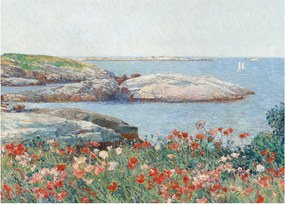 Obraz - Childe Hassam, Poppies,  Isles of Shoals, reprodukcje (70x50 cm)