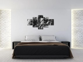 Obraz - Cyrk (125x70 cm)