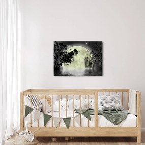 Obraz - Księżyc w pełni nad powierzchnią, wersja czarno - biała (70x50 cm)