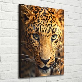 Nowoczesny obraz canvas na ramie pionowy Lampart