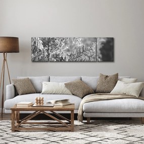 Obraz - Las świerkowy (170x50 cm)