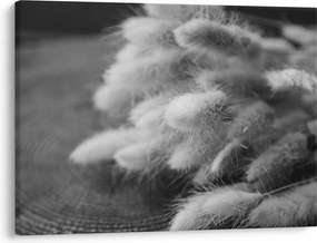 Obraz - trawa z króliczym ogonkiem na stole (70x50 cm)