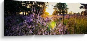 Obraz pola lawendy (z zegarem) (90x30 cm)