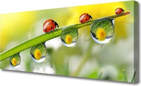 Obraz canvas na ścianę Biedronka na Zielonym Liściu