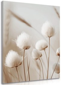 Obraz łodygi bawełny