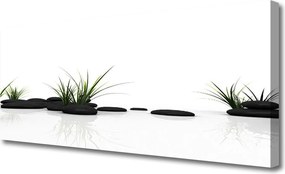 Obraz canvas Odbicie Traw w Lustrze Wody