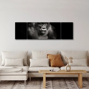 Obraz - Goryl (170x50 cm)