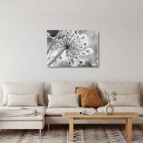 Obraz na szkle - Kwiat w zimie (70x50 cm)