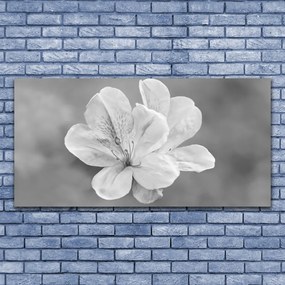 Obraz canvas na ścianę Kolorowy Ogród na Płótnie