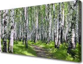 Obraz na płótnie Ścieżka przez Słoneczny Las